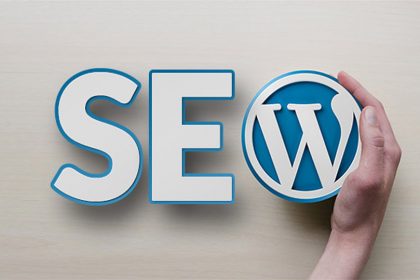 seo wordpress